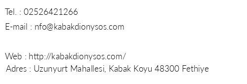 Dionysos Camping Kabak telefon numaralar, faks, e-mail, posta adresi ve iletiim bilgileri